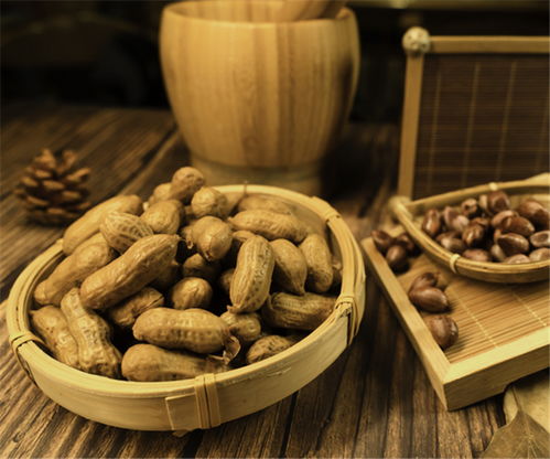 四川匠心蜀味餐飲管理 以創(chuàng)新與傳承引領(lǐng)酒店餐飲新潮流